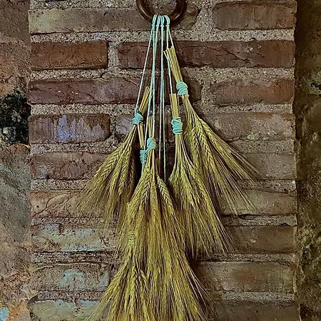 Vivelorural Cuevas Labradas
